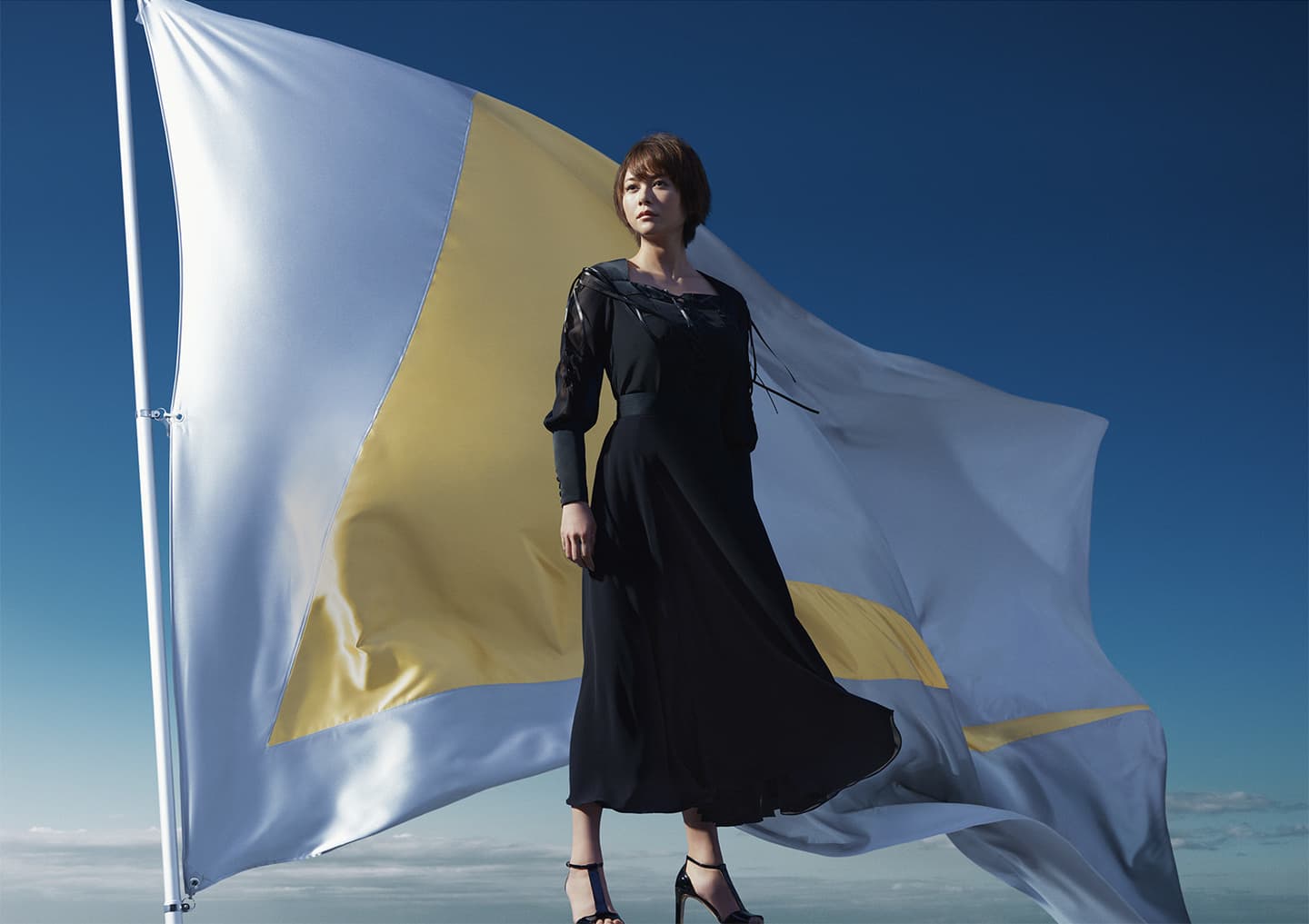 ロキソニン, 第一三共ヘルスケア