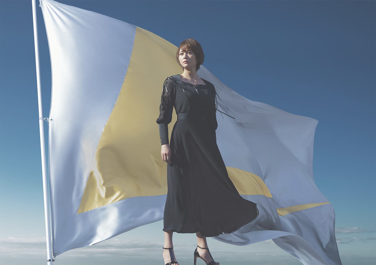 ロキソニン, 第一三共ヘルスケア